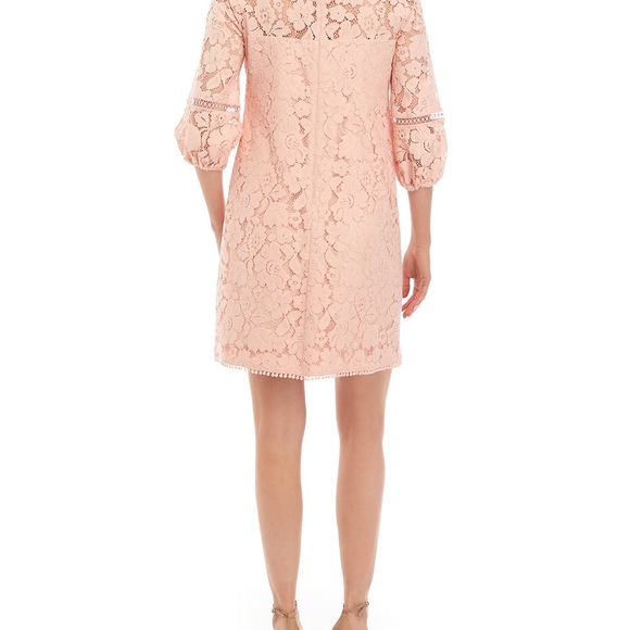 Vince Camuto Petite
Lace Shift Blush Pink  Dress Size 6 Petite 6P - Picture 10 of 15